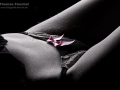 2011-04-17_TF-122rx